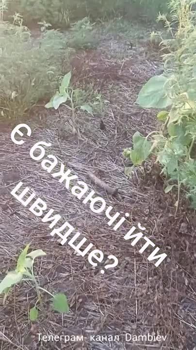 ������ ����������� ���������������� �� ����������� �����������