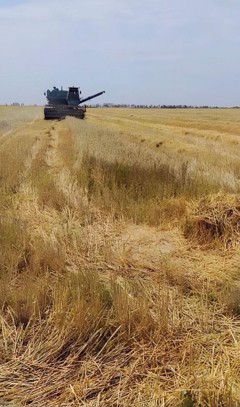 ������ ������ �������� � ������������ ������� � ���������� ������������� ������