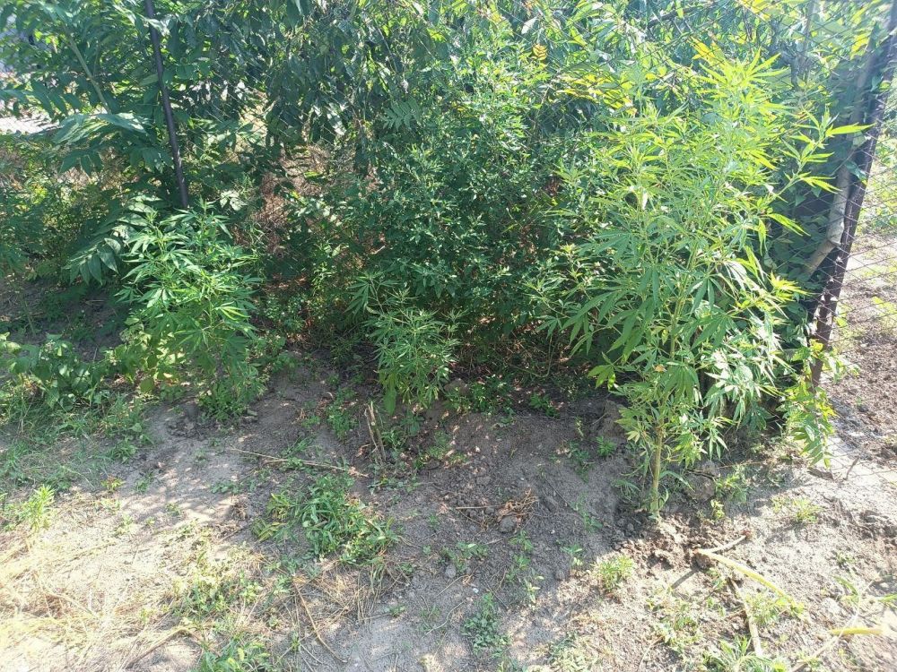 � ������ ���������� ������� ������ ������� ������ �������