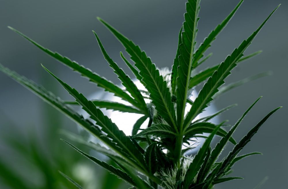 �� ������� � ������ ���������� ���������� 26 ������ ���������