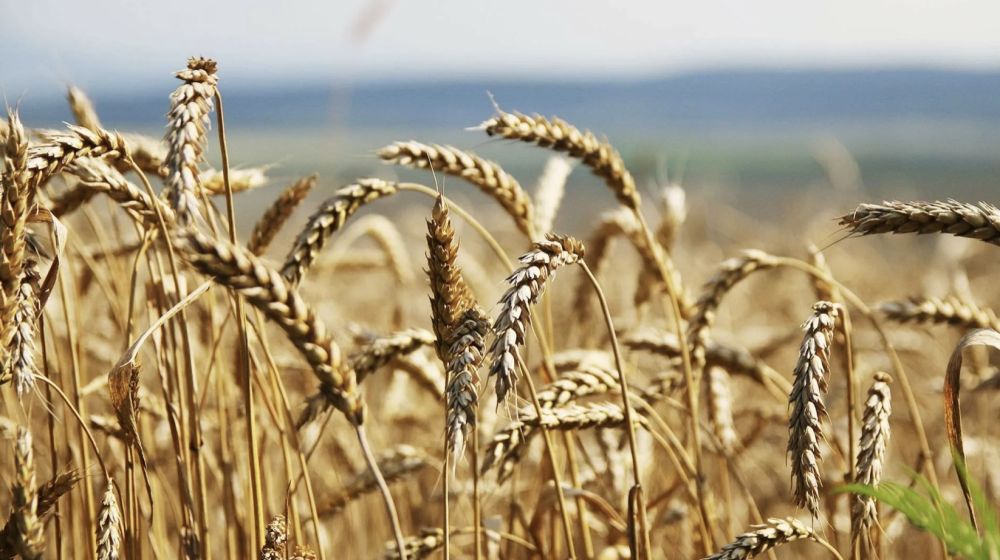 ���� ������� ���������� ������� � �������� ��������� �������