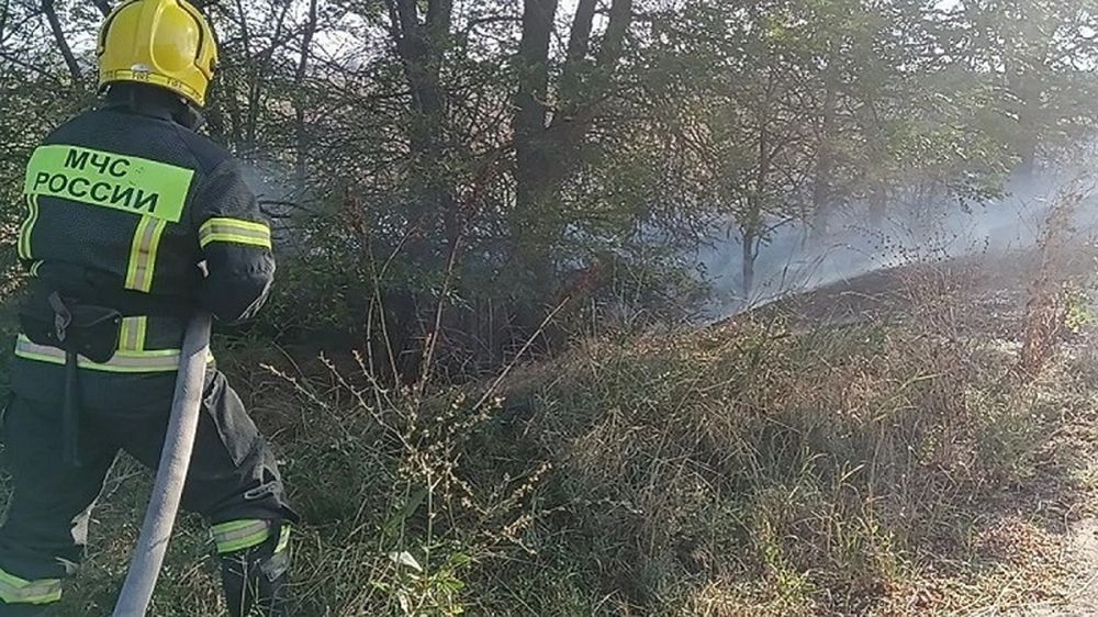 � ���������� ������� ����� �������� ������������ ����� ���� � ���� ���������