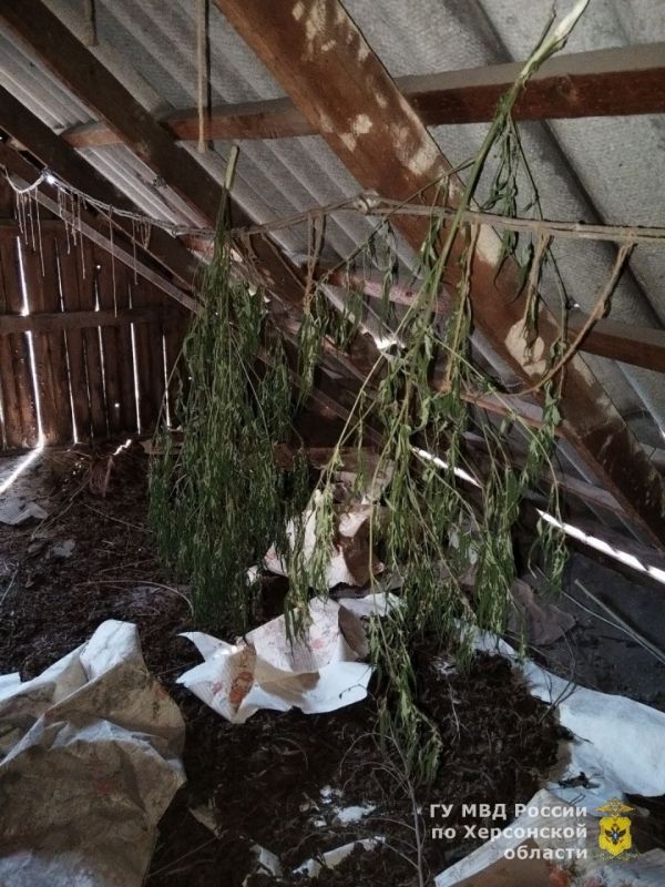 � ���� ������� ���������� ������� ��������������� ������� �� ������� ���� � �������� ������ ���������