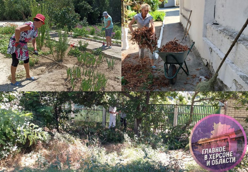 � ���������� ������ ���������� ������� �� �������� ���������� ������������