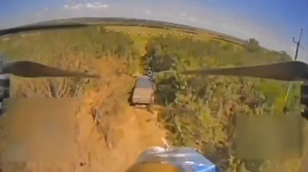 �������� �����: ����������� �����: "������ ����! �� �� ������!"