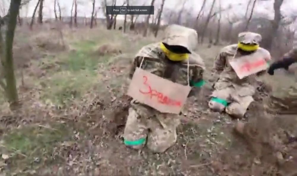 � ����������� ����������� ��������