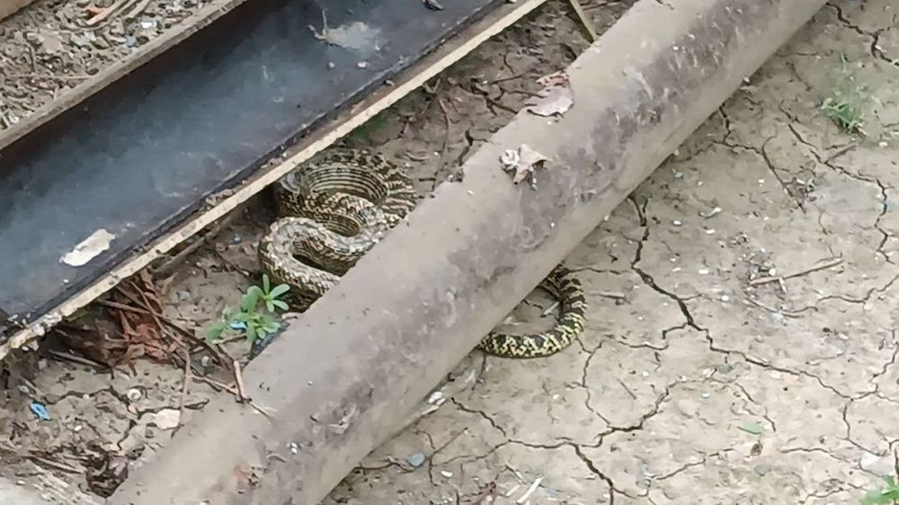 ������ ������������ ���������� � ����� ����� ����