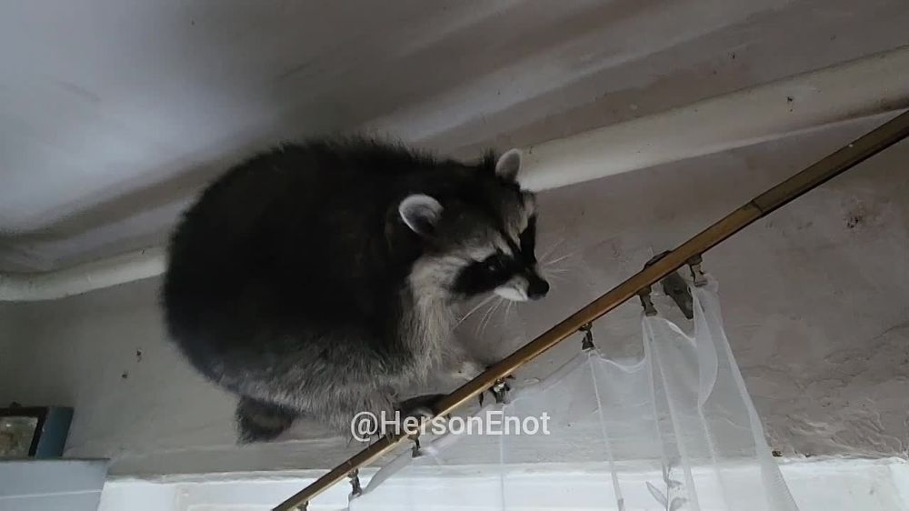 ���� �� �������: �������� ���� � ������� �������!