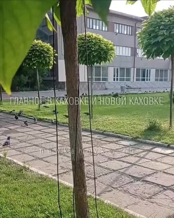 � ������� �� ������� � ������� ������� ������ �� ����� �����������