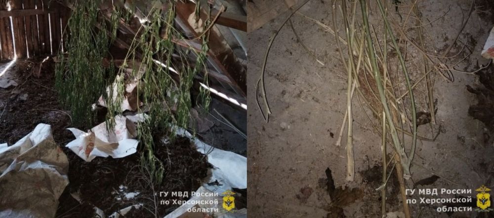 �� ������� ������ �������� ���������� ���������