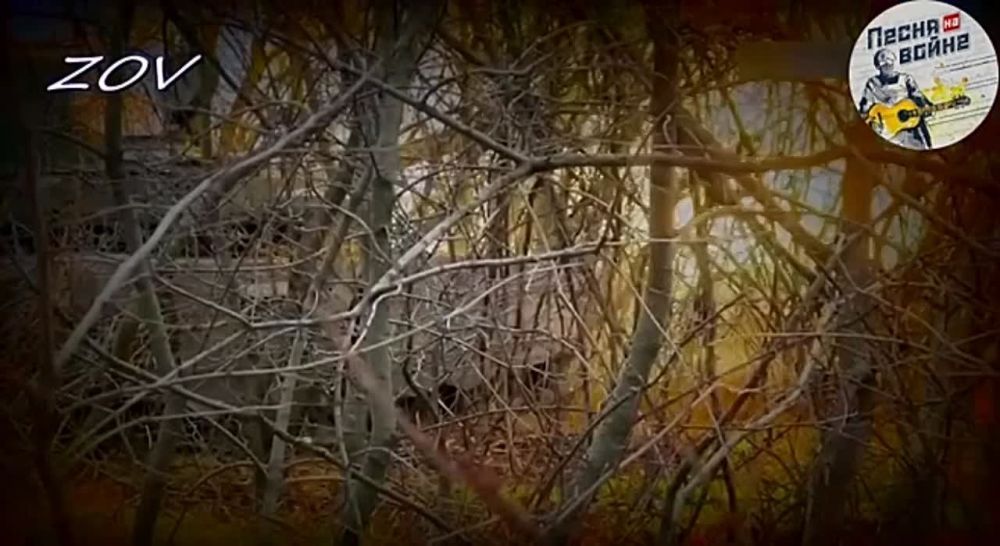 ��� ������ "����� �� �����" ������� ������ ����� � ������� ������� ������� ������! ���� ������ �� ������ ������!...