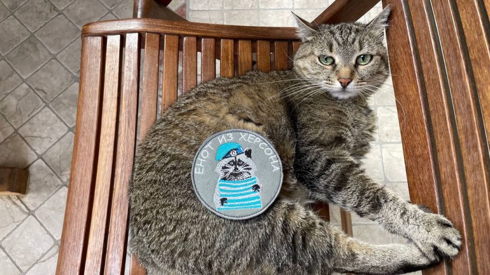 ���� �� �������: � ����� ������������� ������� ����������!