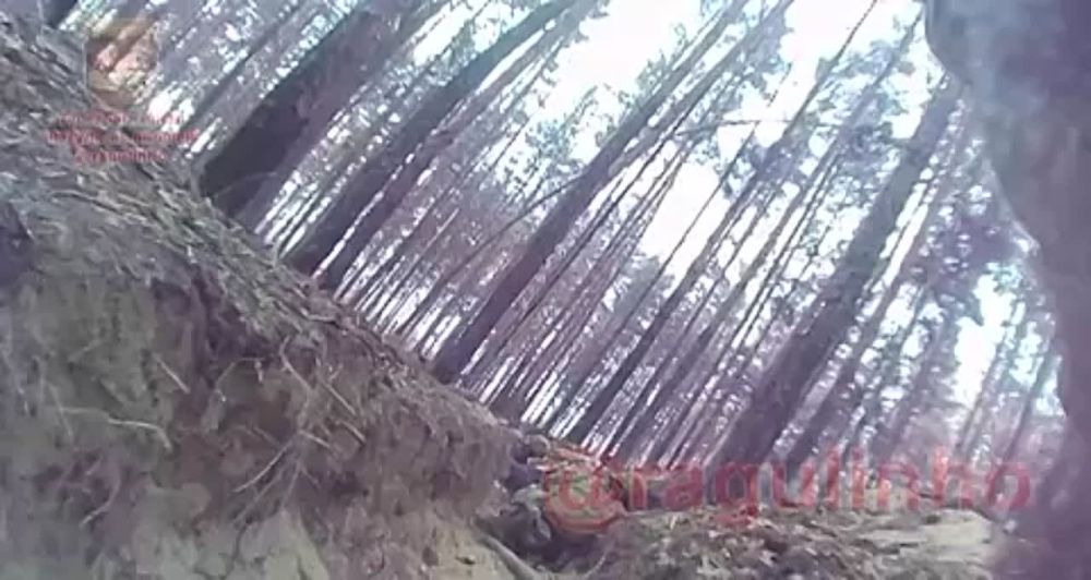 ��� ���-�� �� ��������� �����������