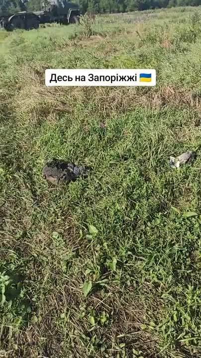 ��������� �������� �������, �� ������������ ��� "VAB" � ��������������� "Mowag Eagle II" ��� � ���� ���