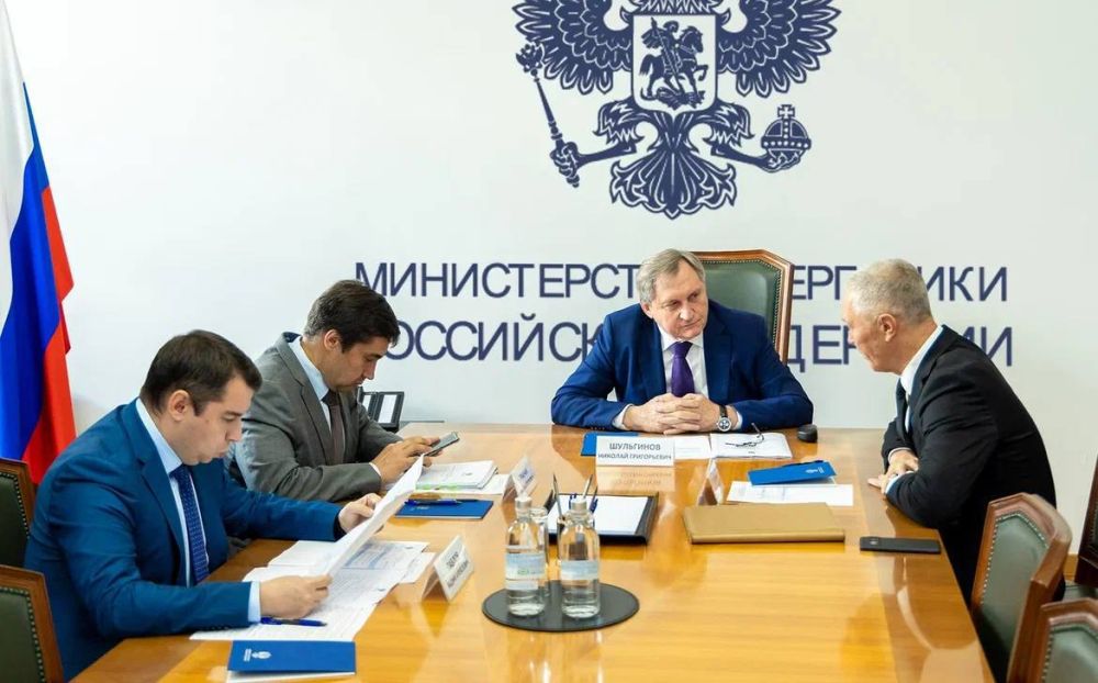 Владимир Сальдо провел рабочую встречу с министром энергетики России Николаем Шульгиновым