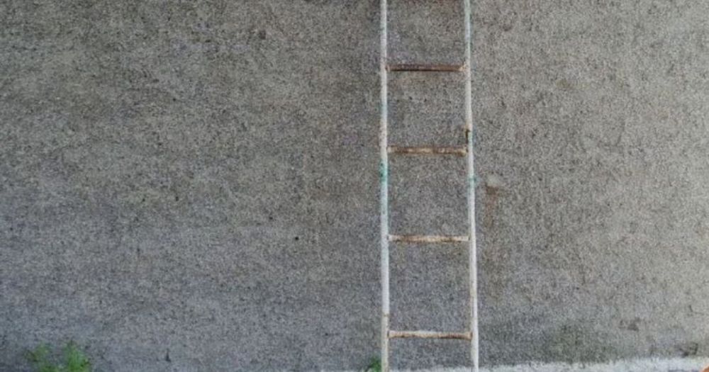 ������� �� ���������� ������� ��������� ��������� �� ������� ������ ����