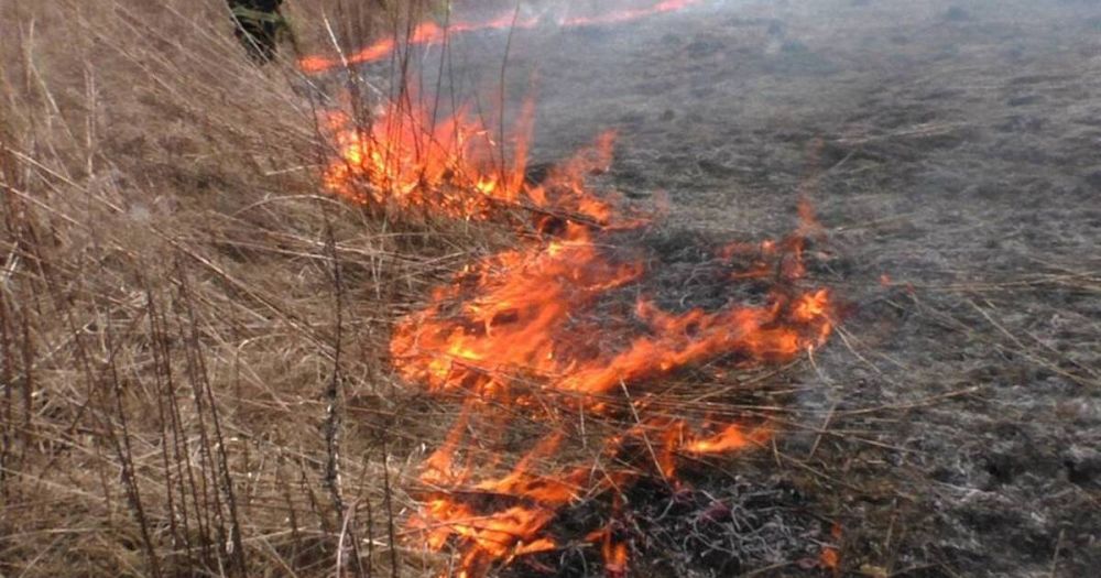 ��� ���������� ����� ����� ������� - ����� ����� ����� ���������