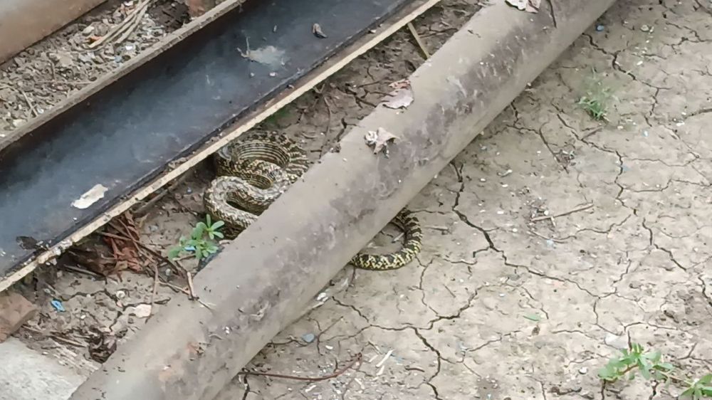 ������ ��� ������������ ���������� � ����� ����� ����