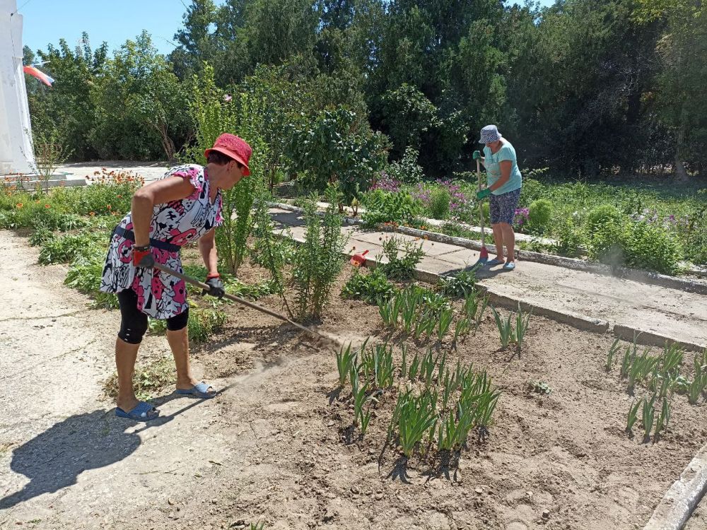 � ���������� ������ ������������ ������ �� ���������������