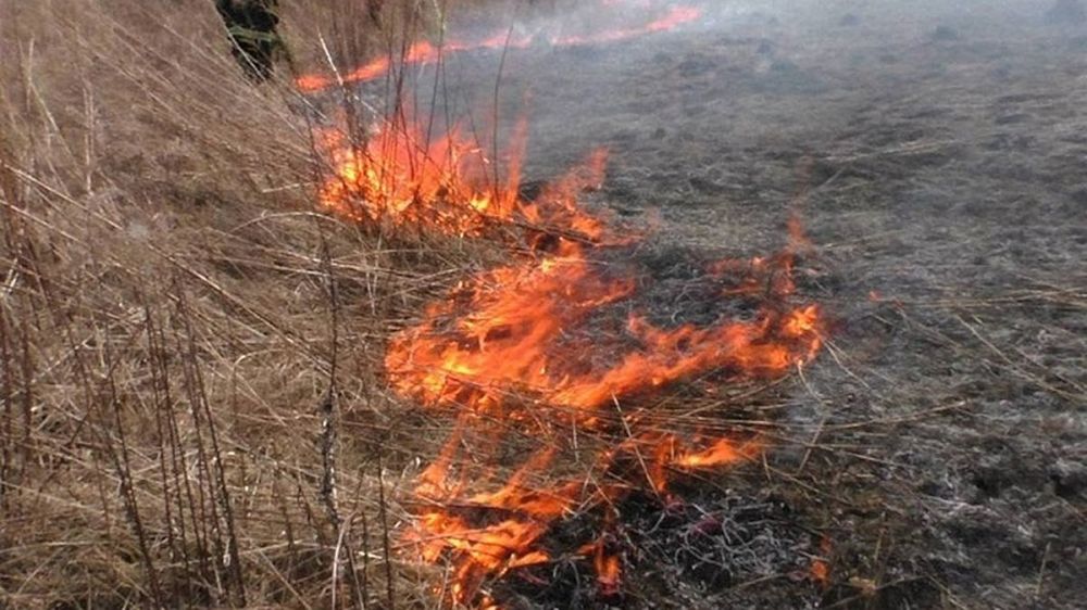 ��-�� �������� ��� � ����� ������� 10 ������� ���������� ����� �����