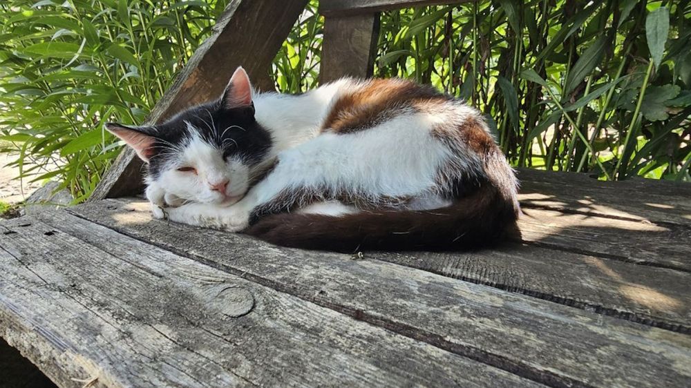 � ����� ������� ������� ����� ��� ��������� ��������