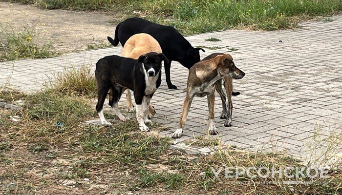 ����� ��� ��������� �������� �������� ������� � ����� �������