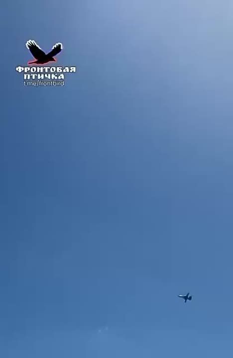 ���������� ����������� 12:20 11.08