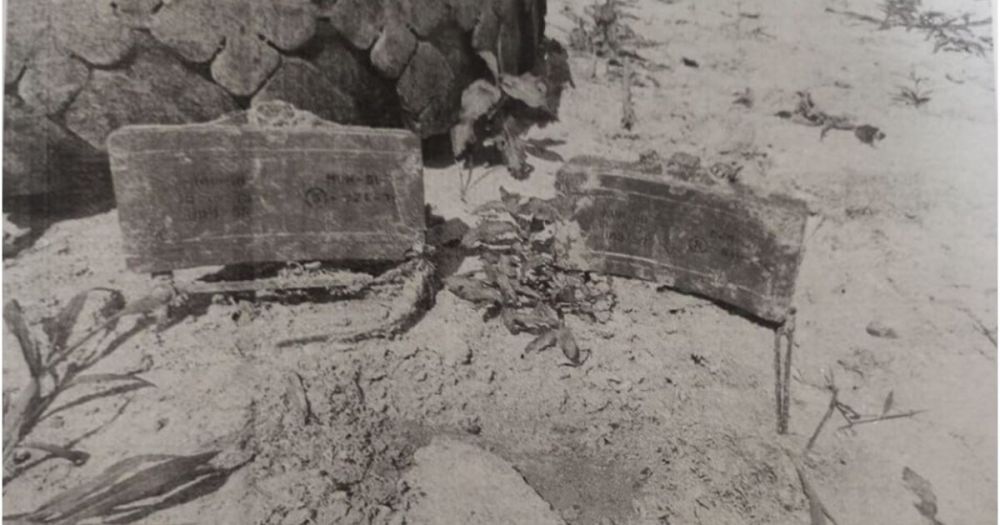 ��� ��������������� ���� � ���� ������ ���� ���������� ����� � ��������� � ����������