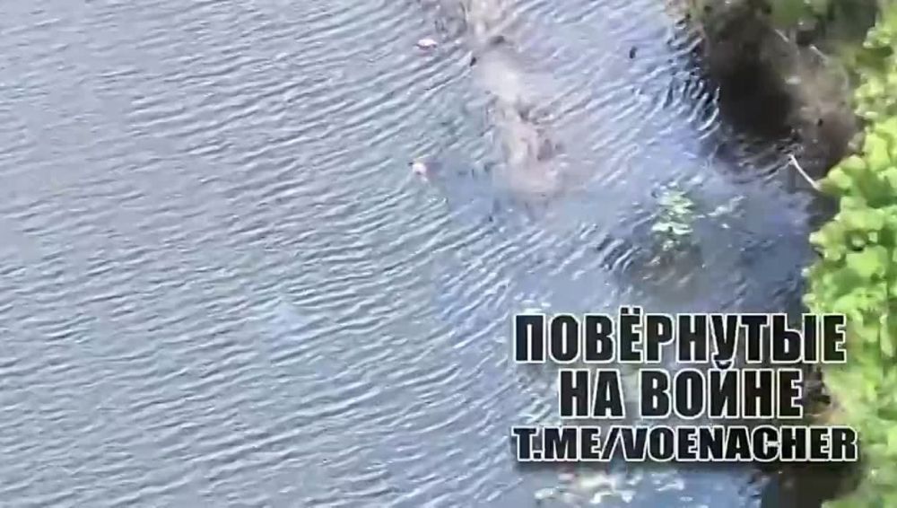 ����� ������������������ �������� 73 ������ ��� ������������ ���