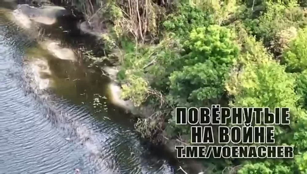 ���������� �����������