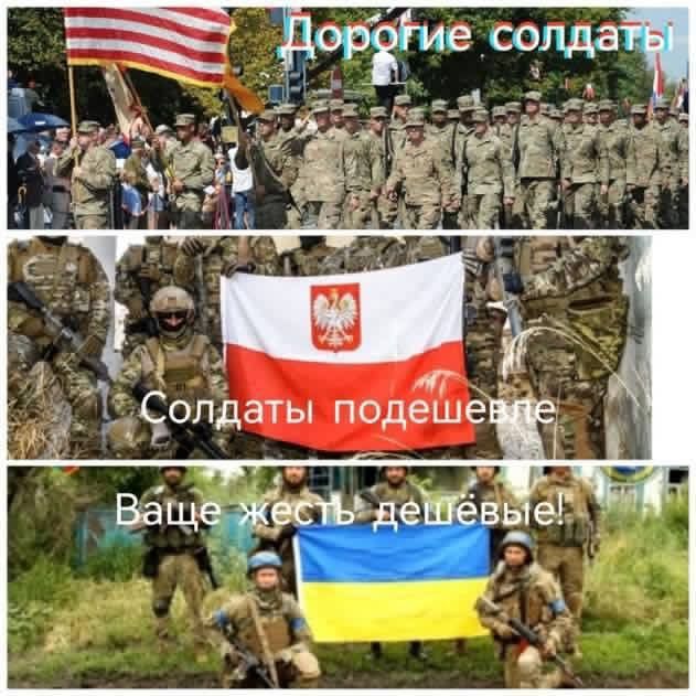 ������� ���������� ����������� ����� ���������� ������, ������ ��� ������������ ������� �� ������� (�) ��������� ������ ������ ����