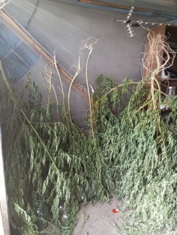 � ������ ���������������� ������ ���������� ������� ������ ��������� � 11 ������ �������, ������� � ���