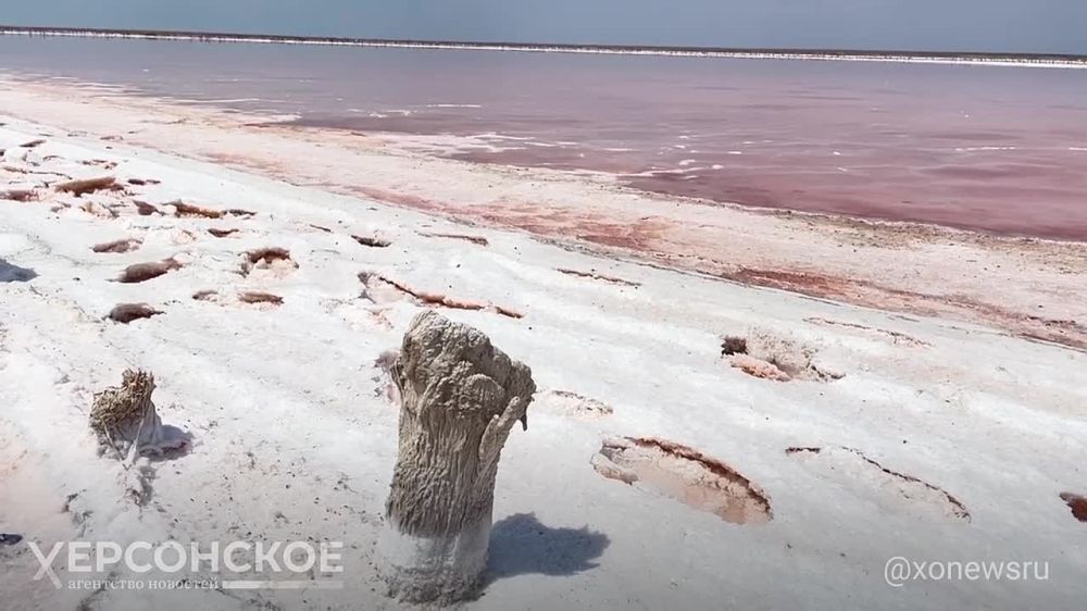 ����� �������!. ���������� ������� ����� � ���� �� ����������� ���� ���������� �������