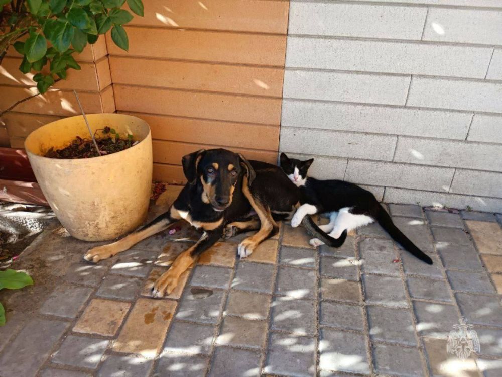 � �������������� ��� ������ � ���������� ������� ����� ����� �������� ��������