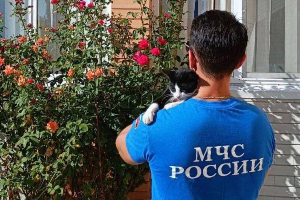 ��������� ��� �������� ��������� �������� � ����������� ���������� ����������