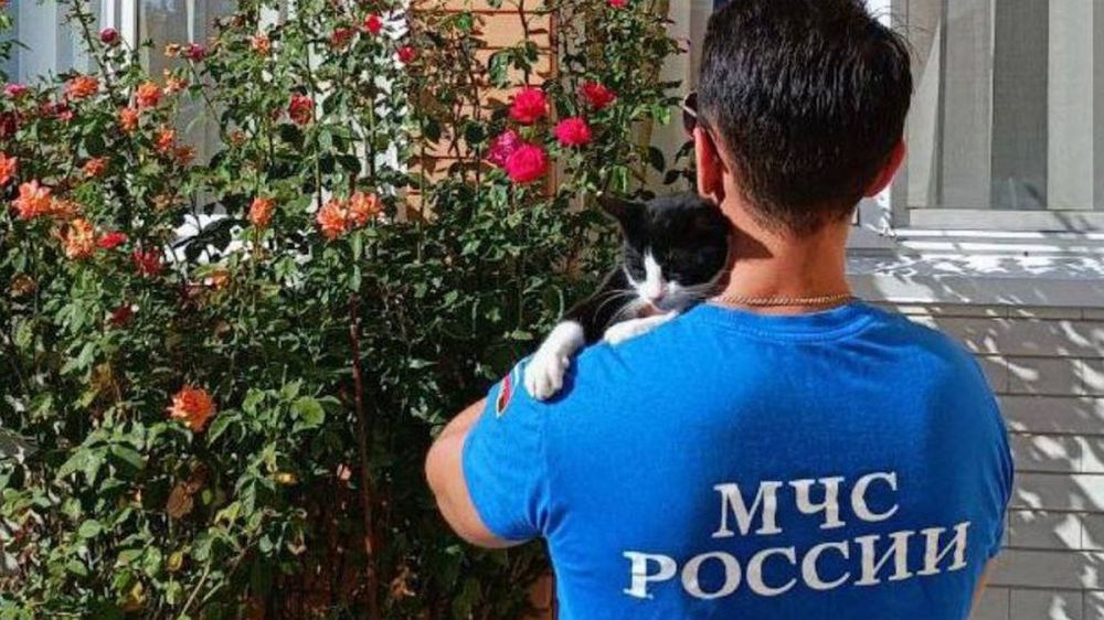 ��������� ��� �������� ��������� �������� � ����������� ���������� ����������