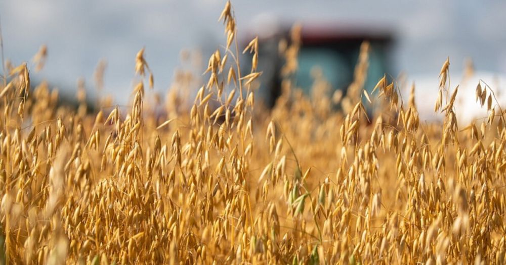 � ���������� ������������� ������ ������� ����� 101 ��� ���� �������� � ������������ �������