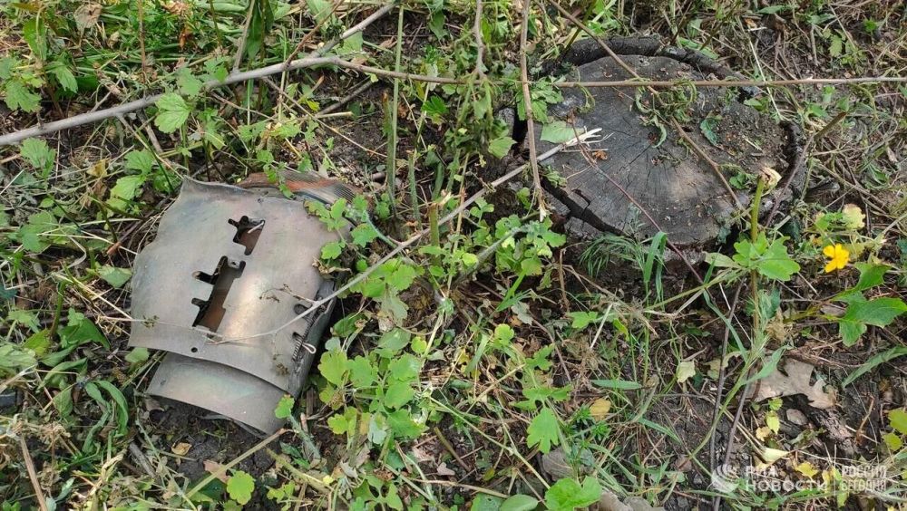 ���������� ������ ���������� ��� ������ � ���������� �������