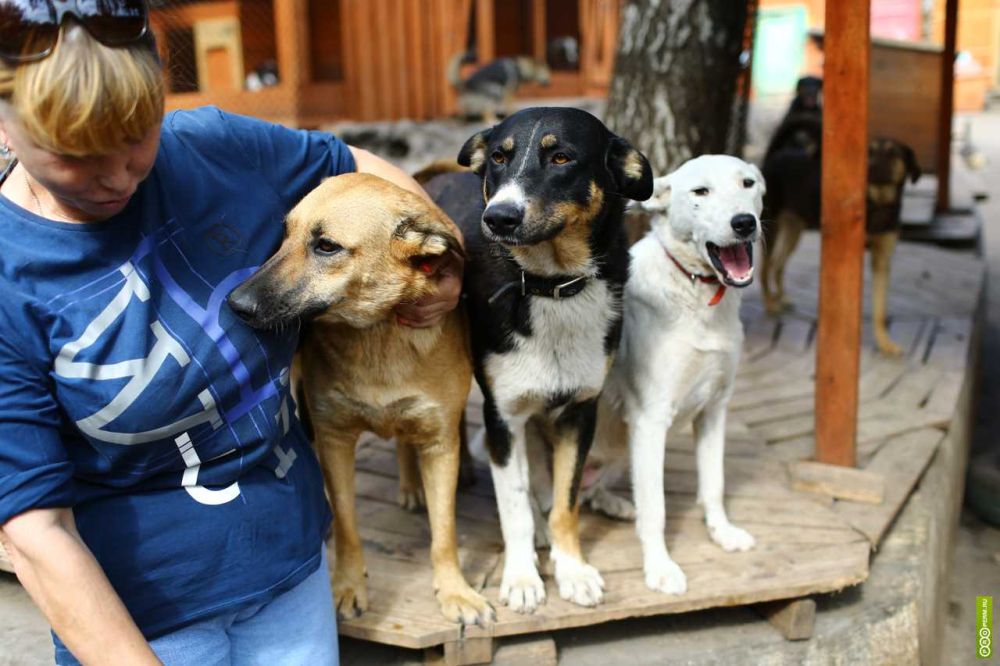 � ����� ������� ��������� ������� ����� ��� ��������� ��������