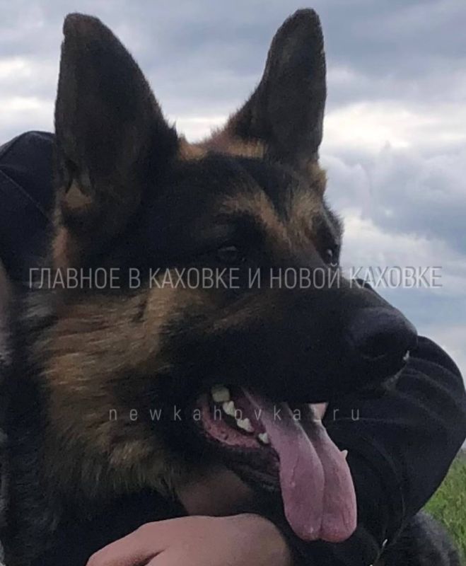 � ����� ������� ����������� �������� ������ ��� ��������� �����