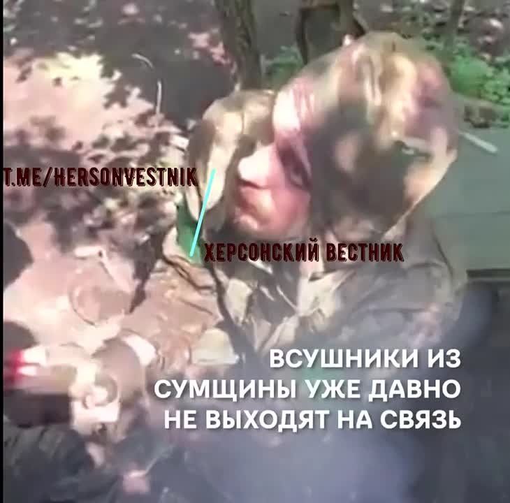 ������ ���� ���� ������ ��� ����������!