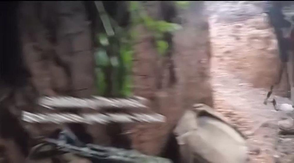 ����� � ������� ������ �� ����������, �� ������� ������� ����� ��� ���������� ����� ������ ��������� ������� ���������� ��������������