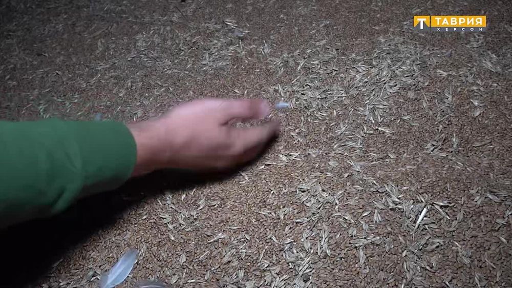 � ���������� ������� ����������� ������ ��������