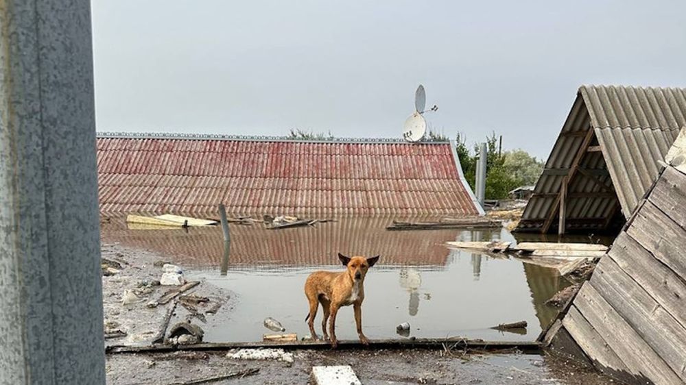 ������ ��� ��������� ��������, ������������� ���������: ��� �������� � ���������� ��������� ��� �� 12 �������