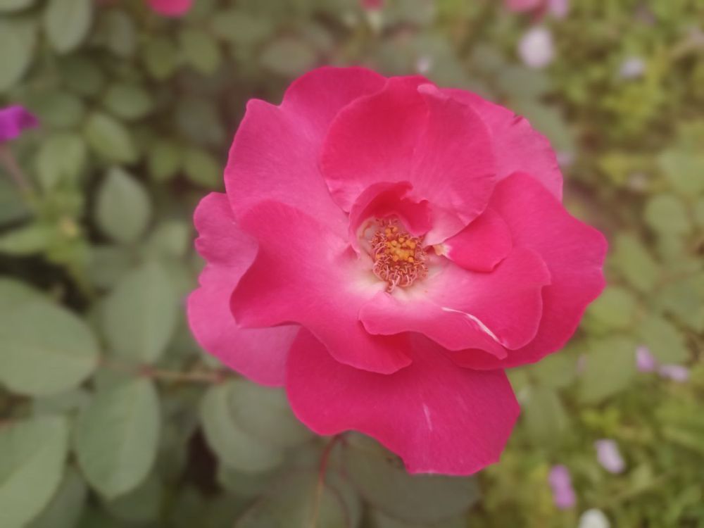 � ������ �����, �����������!