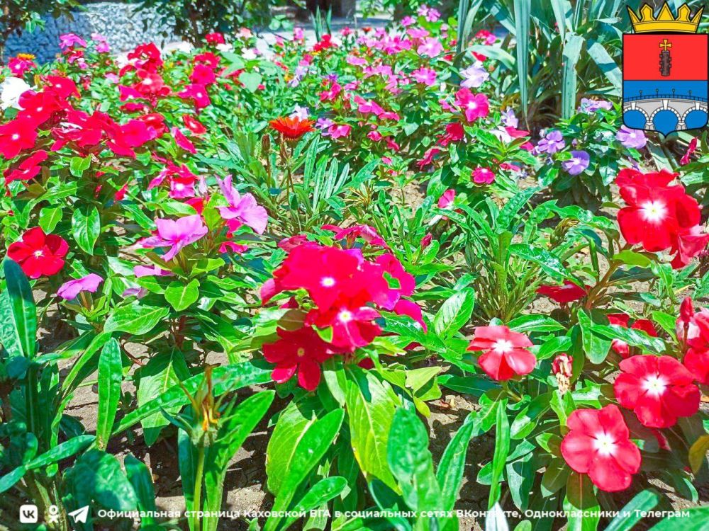 ������ ����, �������!. @VGA_Kakhovka