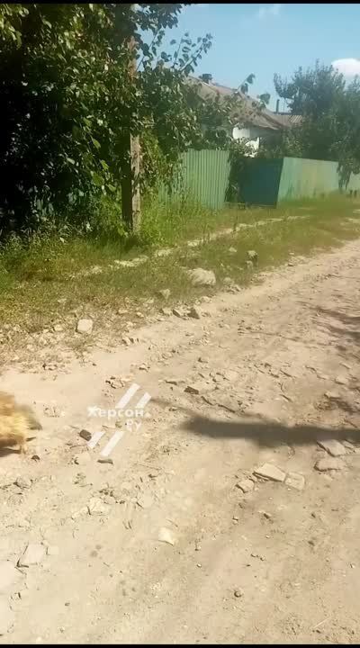 ���� ���������� �������� ���, ��� ����������� ��� �������� � �������� ���� ���� ����������� ���. �� ���� �� �������� �������� �� ��� ���������� ����� ��������� ����� �����