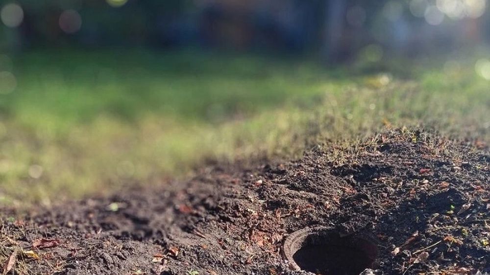 ���������� ������ ��������� ���� ������������ ������ � ���������� �������