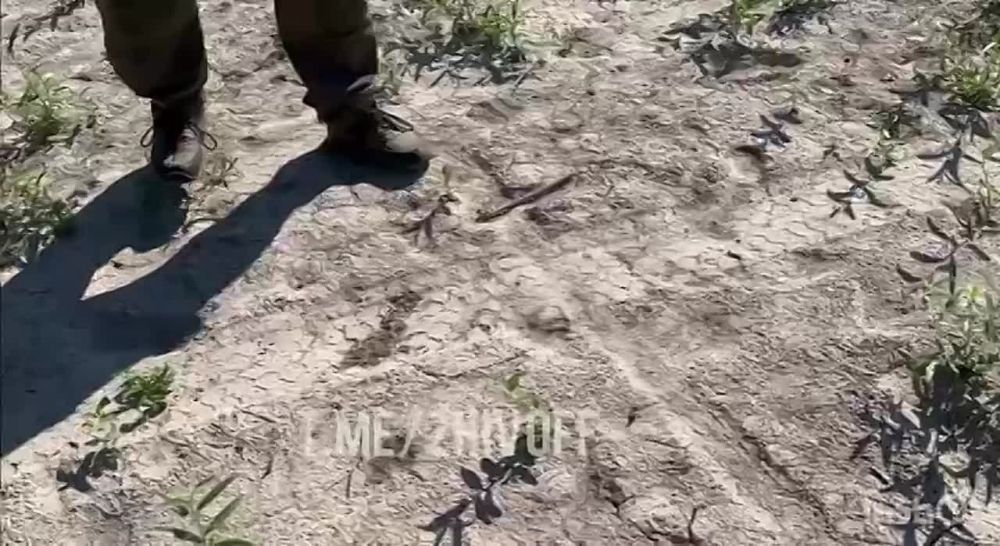 ������� �����: ��� ���������� �������������