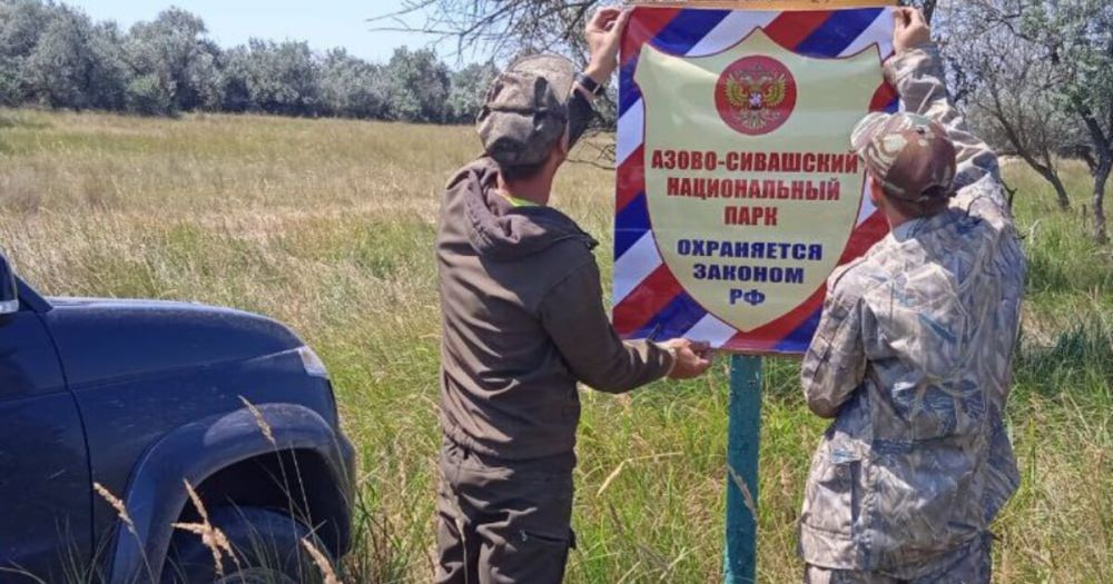 ��������������� ���������������� ����������� ������� � ���������� �������